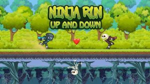 Ninja Run Up and Down Online Game