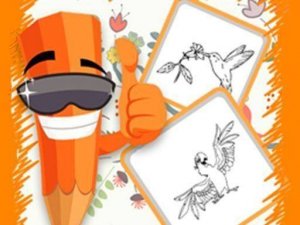 Birds Coloring Online Game