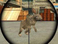Rabbit Shooter Online Arcade Game