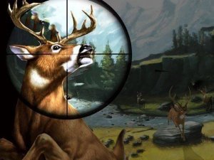 Deer Hunter Online Game