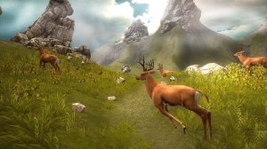 Deer Hunting Sniper Shooting Game